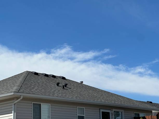 Fast & Reliable Emergency Roof Repairs in Choudrant, LA